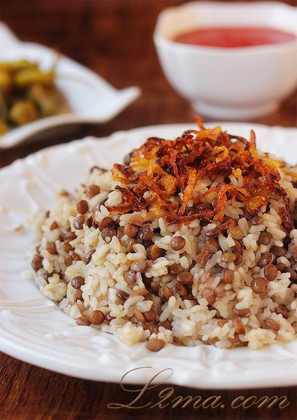 مجدرة مجدرة