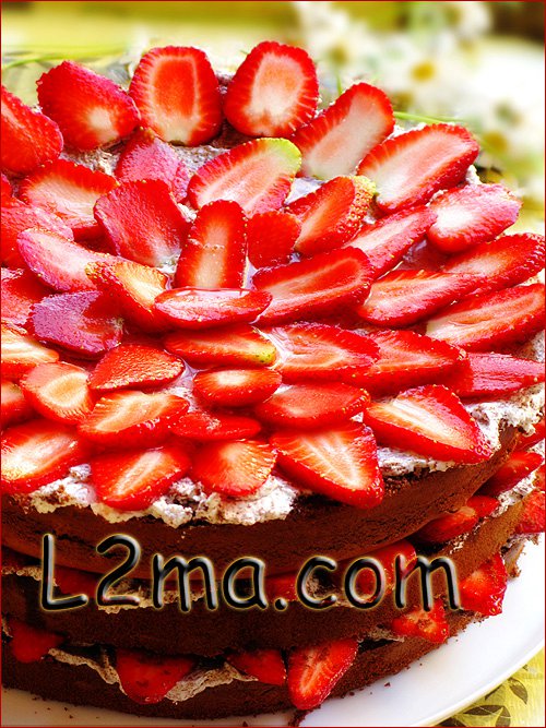 كاتو الشوكولا و الفريز