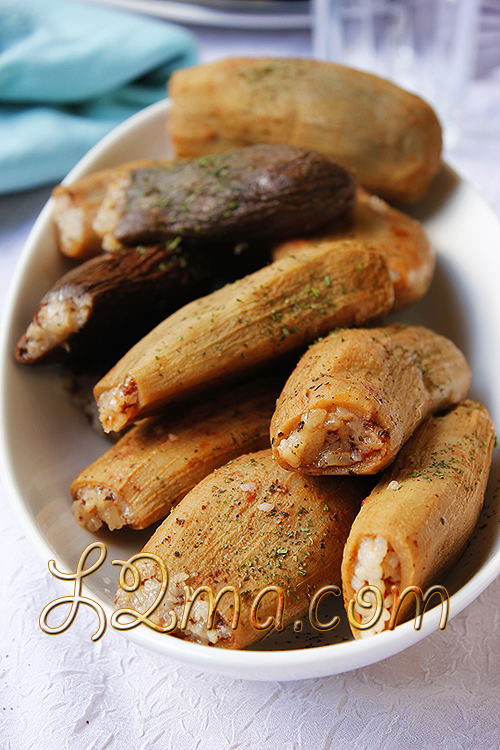 محشي الميبّس