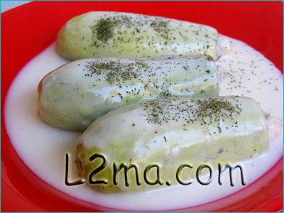 محشي كوسا باللبن محشي كوسا باللبن