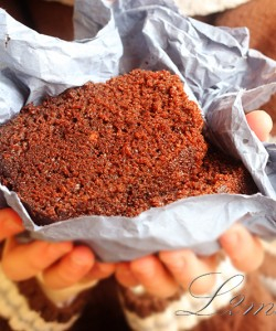 كاتو على الصوبة