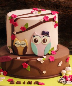 كاتو البومة اللطيفة